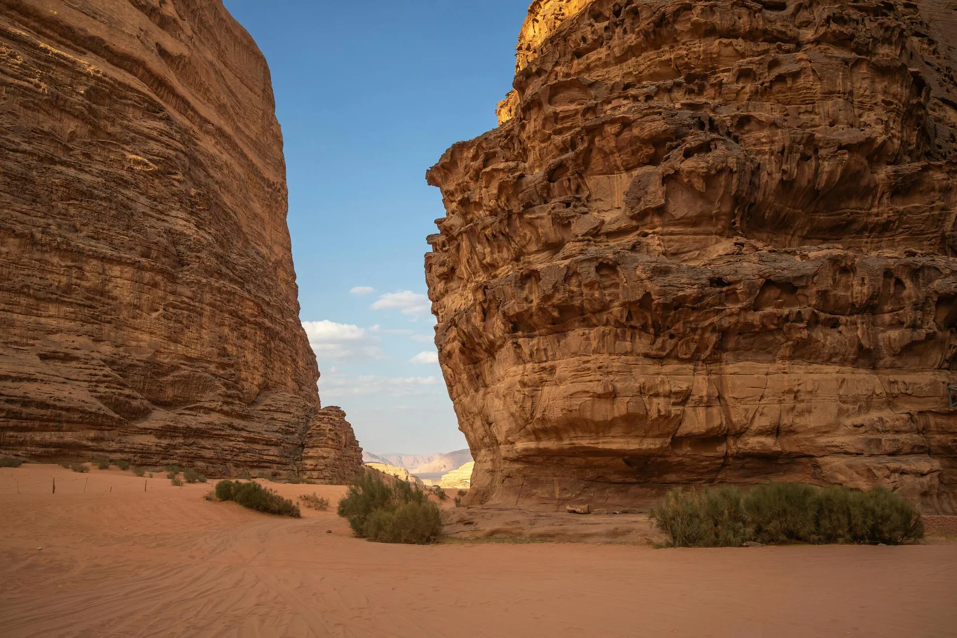 pexels-nicolecedik-27828128